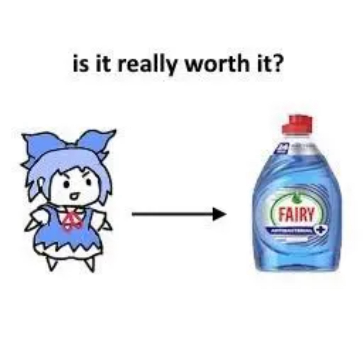 CirnoDish.png